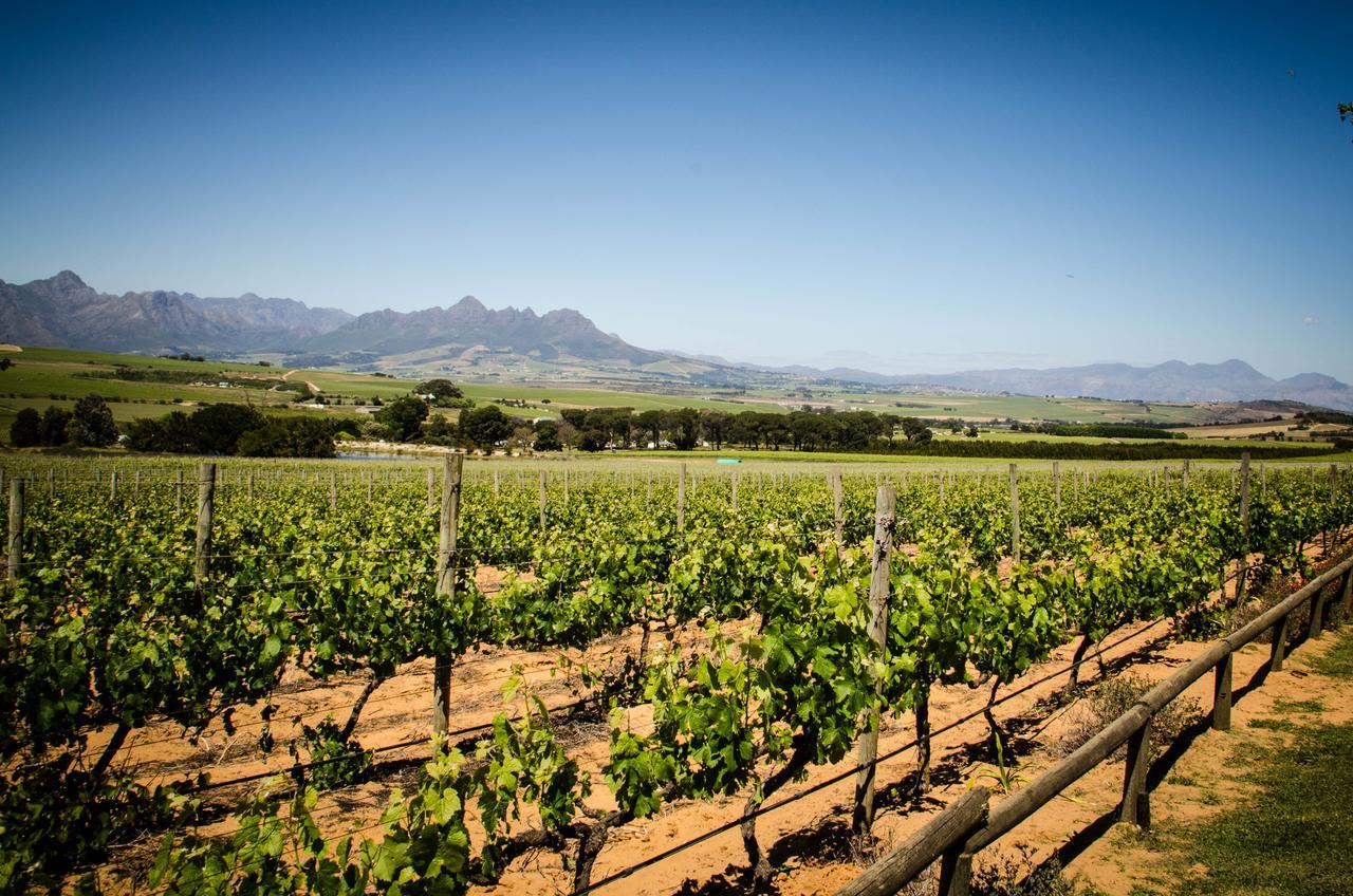 Villa Lavinia Lifestyle Stellenbosch Exterior foto